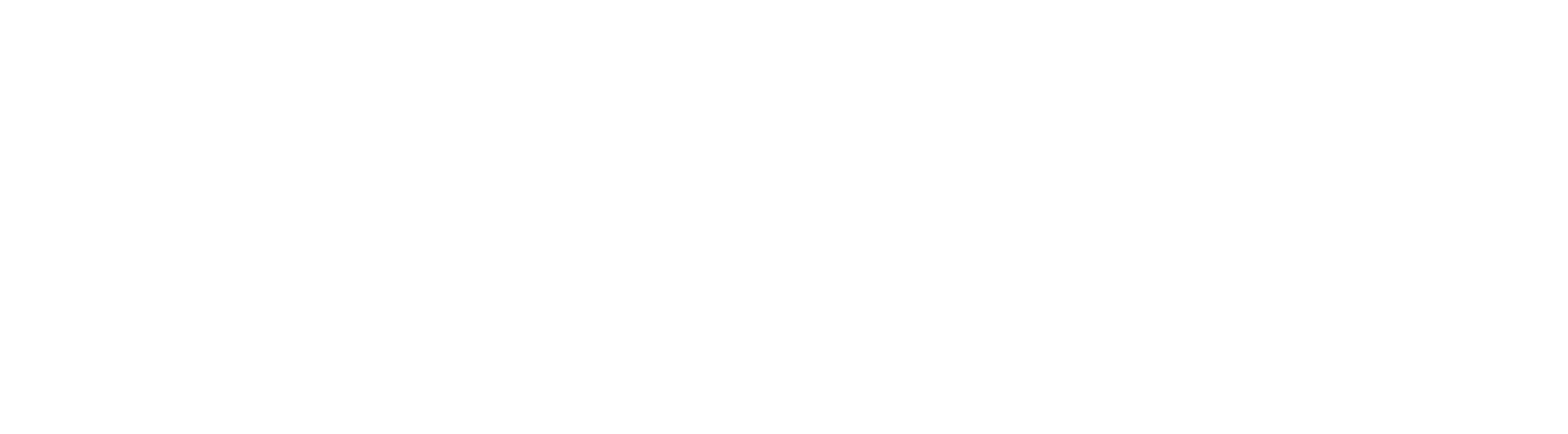 Rabotse Logo Wit-8